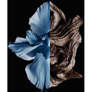 Gentleman Eau de Toilette Intense EDT